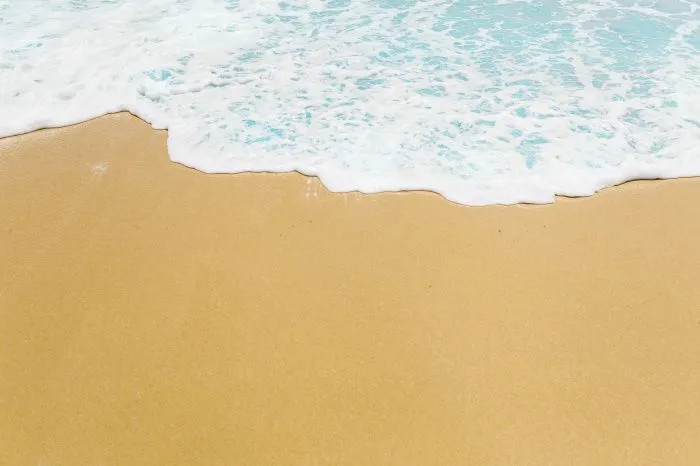 Туристический союз попросил правительство РФ освободить турбизнес в Анапе от налогов