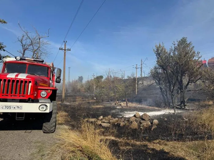 В Ростовской области от ландшафтного пожара пострадали 13 домов, введён режим ЧС