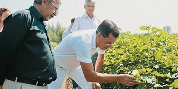 Хлопок возвращается в Астрахань