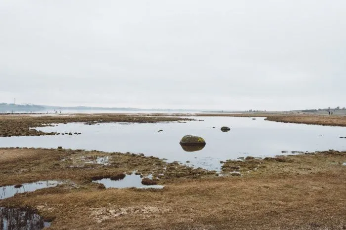 Северная Осетия получит более 50 млн рублей на противопаводковые мероприятия