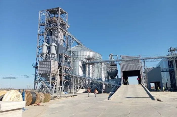 В Ростовской области завершается строительство завода по производству льняного масла