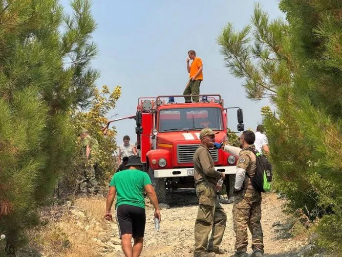 В Геленджике горит 9 га леса