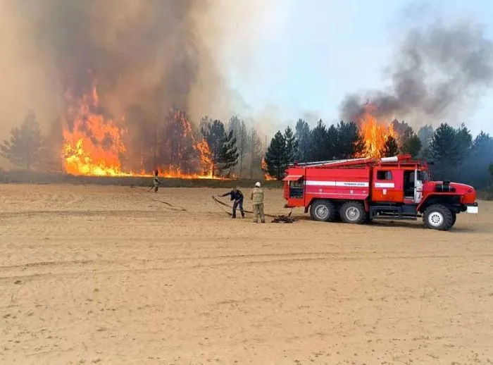 Пожары, отключения света, перебои с водой: какие проблемы возникли на Юге из-за аномальной жары