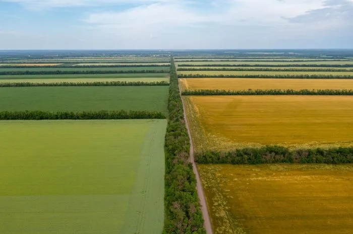 Агрохолдинг «СТЕПЬ» масштабирует работу по технологии No-Till