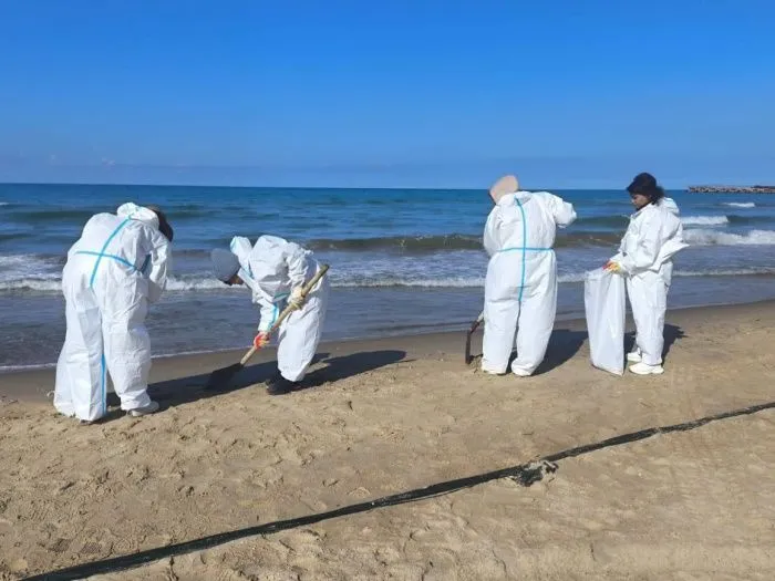 В Анапе и Темрюкском районе намерены временно отменить туристический налог