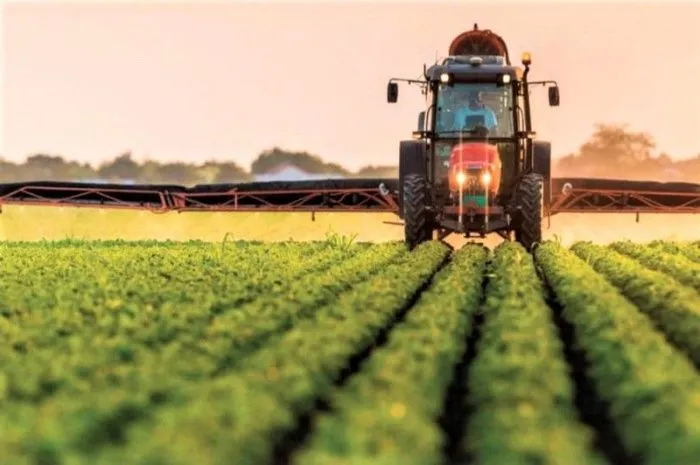 Фермеры Краснодарского края за пять лет получили 8,6 млрд рублей господдержки