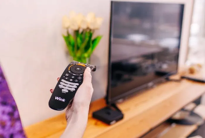 Цифровой досуг: мультимедийный сервис Wink на Юге выбрали более полутора миллионов человек