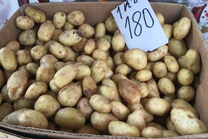 «Запасы иссякли»: почему в России случился картофельный кризис