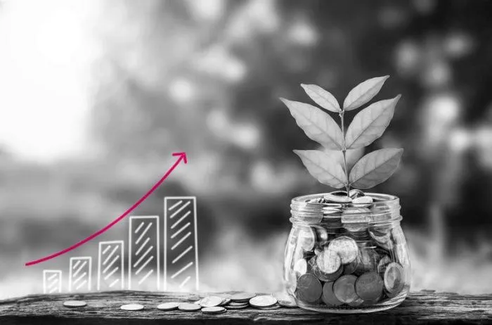 Краснодарский край вошел в топ-5 регионов-лидеров по приросту «зеленых» инвестиций бизнеса