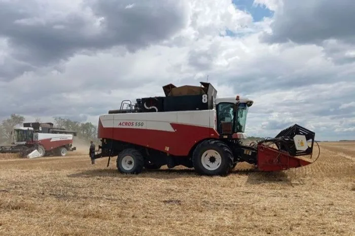 Ущерб донских аграриев из-за заморозков и засухи оценен в 7,8 млрд рублей