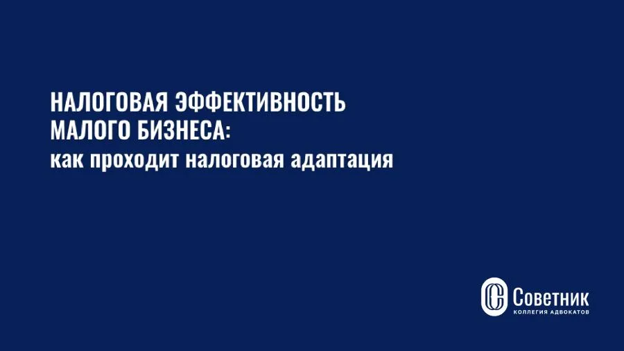 Бизнес-конференция «Новая эффективность малого бизнеса:  как проходит налоговая адаптация»