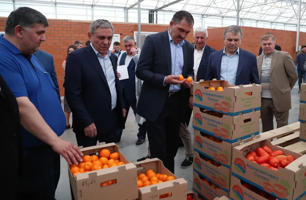 Сунжа томаты.jpg Сунжа томаты.jpg