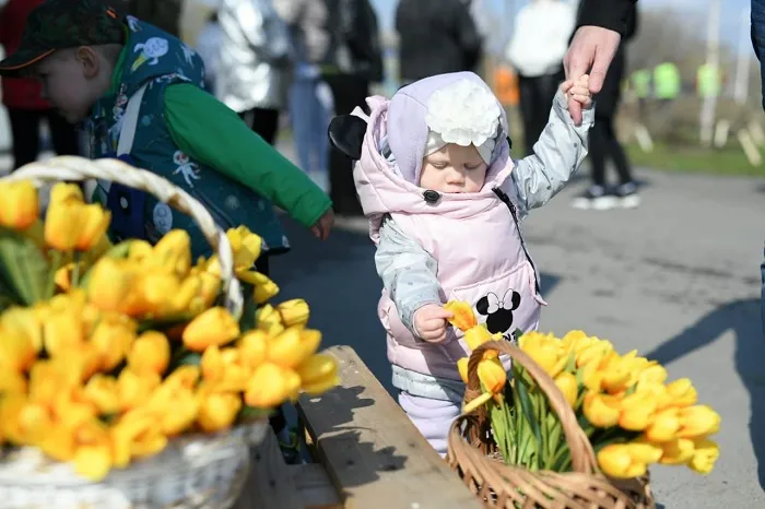 IMG_3685.JPG IMG_3685.JPG