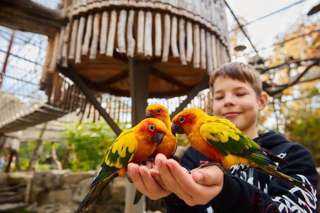 Малинки1.jpg Малинки1.jpg