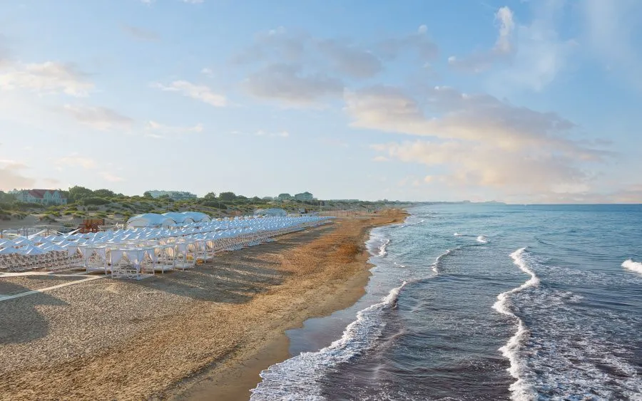 IMG_4462.jpg IMG_4462.jpg