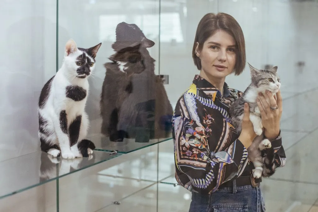 IMG_20250429_125337_168.JPG IMG_20250429_125337_168.JPG