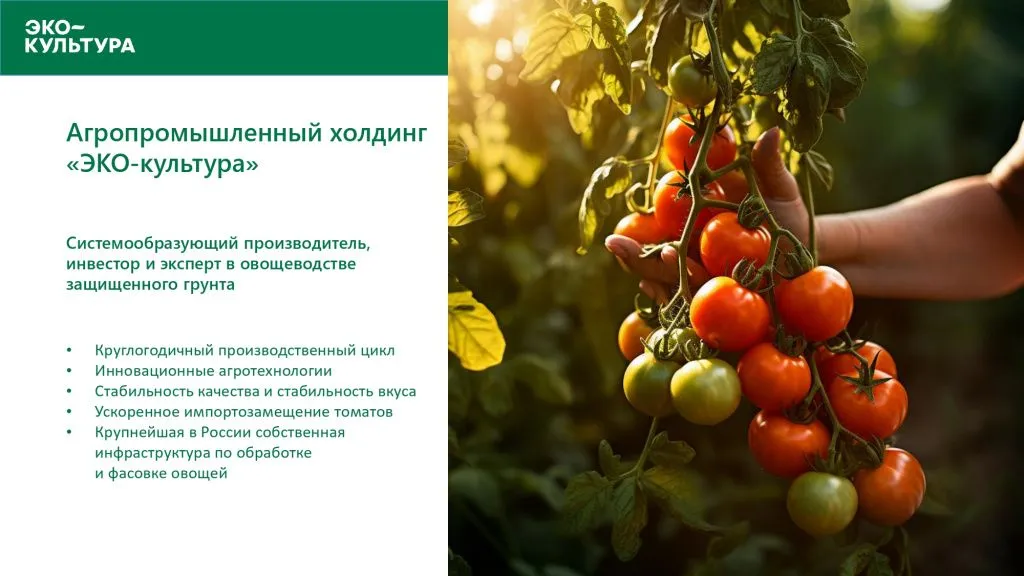 Кавказская бизнес-конференция «Переоценка СКФО:  точки роста глазами бизнеса»