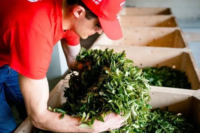 224b60870437fdd313bdab1d00d7c61d.jpg 224b60870437fdd313bdab1d00d7c61d.jpg