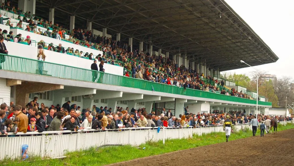 трибуны ипподрома трибуны ипподрома