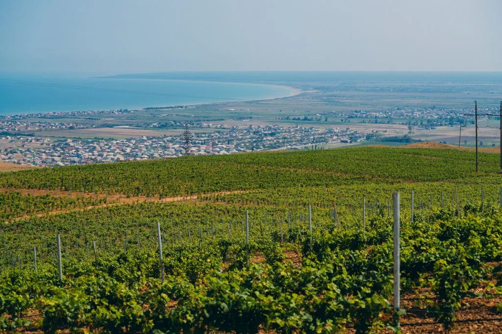 сады ООО Полоса.jpeg сады ООО Полоса.jpeg