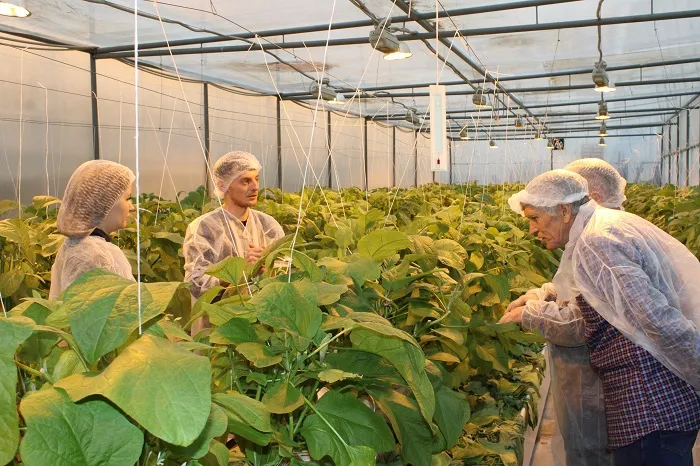 Школа фермера в Ставрополе