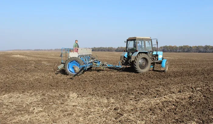 Первыми пойдут «Беларусы» Первыми пойдут «Беларусы»