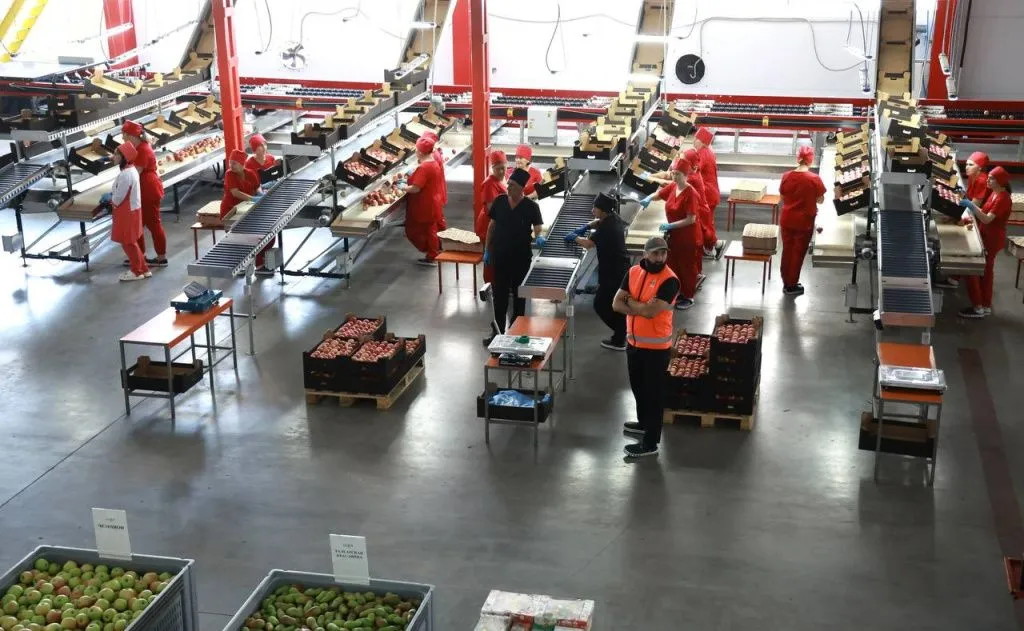 Обеспеченность фруктохранилищами на фоне роста урожая в регионе снизилась за несколько лет с 49% до 43% // Фото: Telegram-канал главы КБР Казбека Кокова