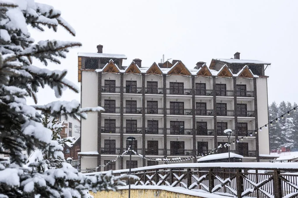 GD3A4623.jpg GD3A4623.jpg