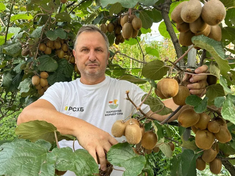 Платонов старший.jpg Платонов старший.jpg