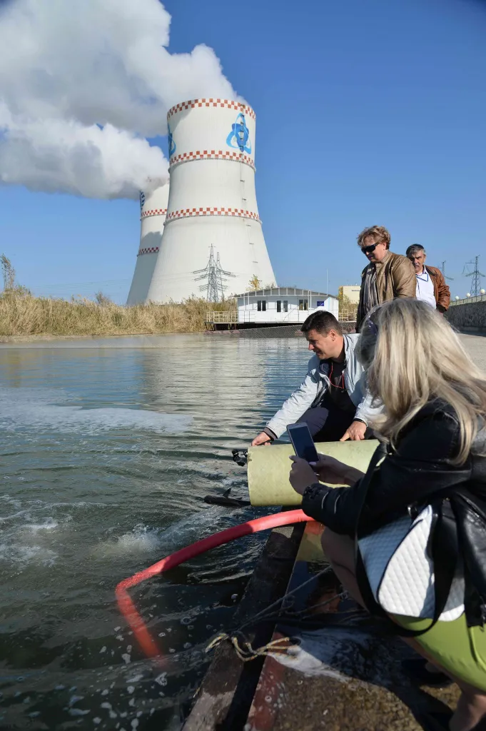 ND4_3485.jpg ND4_3485.jpg