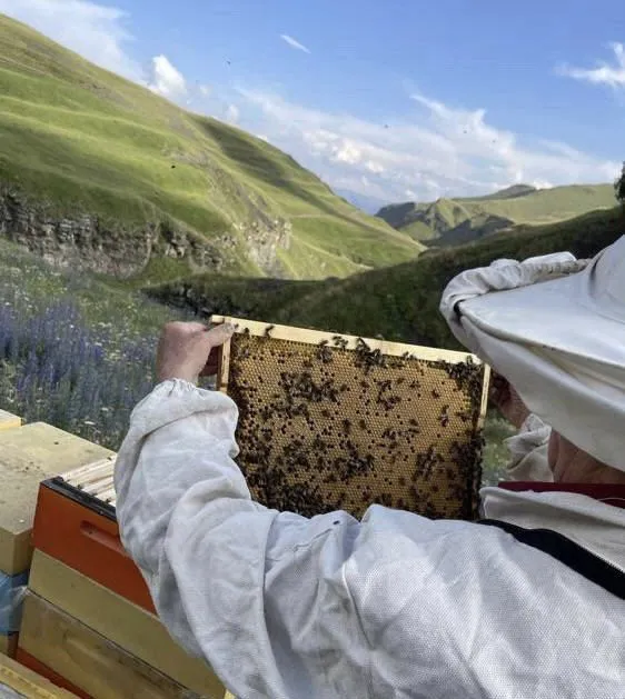 пасека2.jpg пасека2.jpg