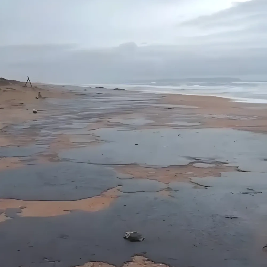 Мазут, выброшенный на берег // Фото: соцсети