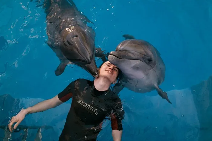 дельфинотерапия 2.jpg дельфинотерапия 2.jpg