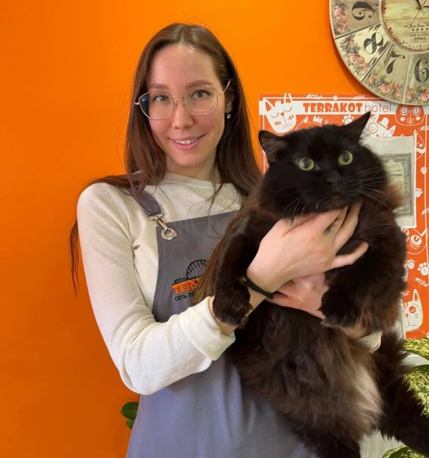 коты2.jpg коты2.jpg