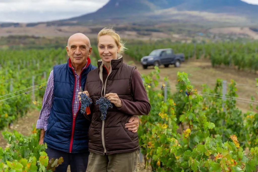 Винодельня Темплхоф.jpg