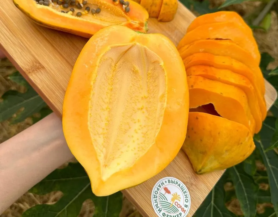 Папайя.jpg Папайя.jpg