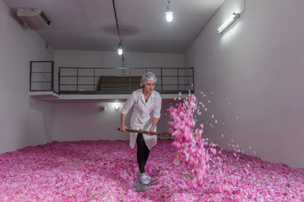 Хранение лепестков розы на производстве перед переработкой (1).jpg