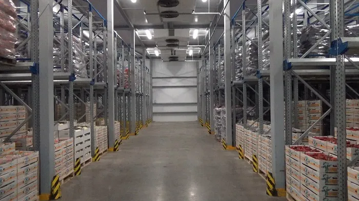 photo1655192136 (3).jpeg