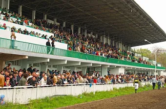 Отвод не удался: начался судебный процесс по делу владельцев ипподрома в Ростове