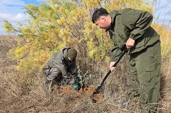 Миллиардный план защиты: как земли Юга будут спасать от опустынивания