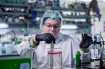 Морошка вместо макадамии: российская косметика ищет замену импортному сырью