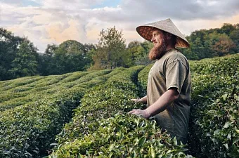 Егор Матчак, «Черноморский чай»: «Статус чаепригодных земель поможет спасти отрасль» 