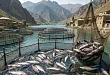 Форель и осетр набирают вес: зачем инвесторы вкладываются в аквакультуру Дагестана