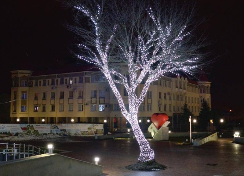 Закупки уличного новогоднего декора на Ставрополье сократили в 12 раз