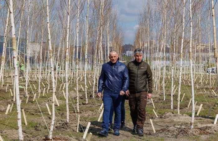 В Ростове в День древонасаждения высадили более 7,5 тыс. растений