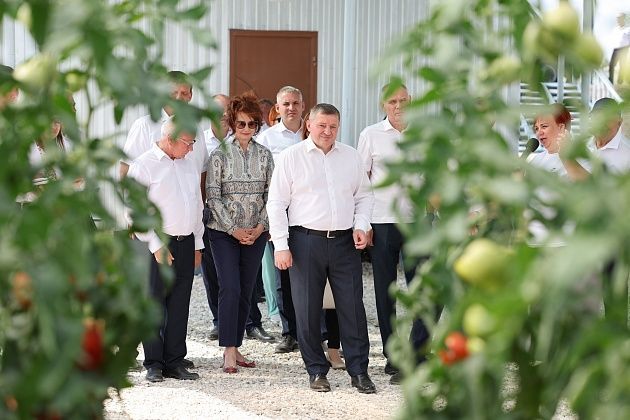 В Волгоградской области создадут селекционно-семеноводческий центр