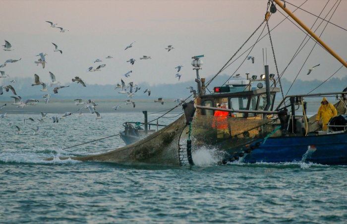 На развитие промышленного рыболовства в Севастополе выделят 33 млн рублей