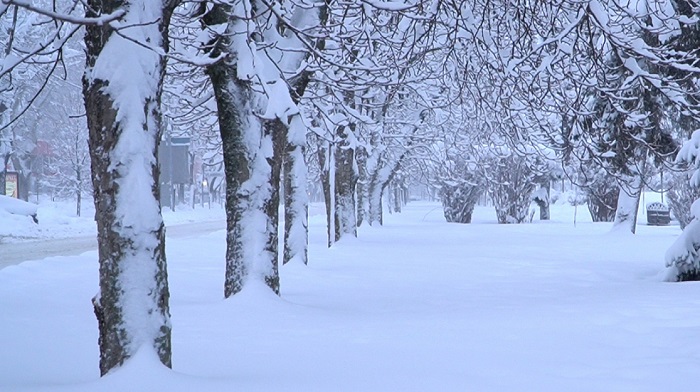 Высота снежного покрова в Краснодаре 23 января достигла 41 сантиметра