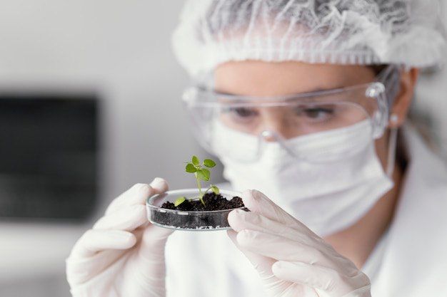 Ставропольские ученые с помощью нанотехнологий ускорили процесс прорастания семян