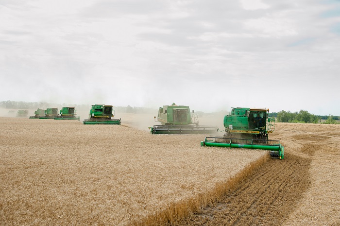 В Волгоградской области собрали более половины урожая — 2,3 млн тонн зерна